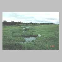 111-1348 Wehlau, Wattlau, Sanditter Teich, weitgehend verlandet.JPG